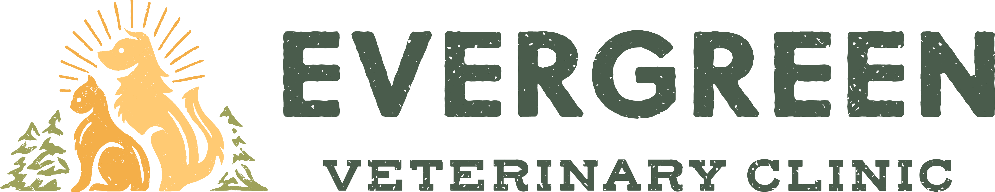 Evergreen Veterinary Clinic Landscape aspect ratio