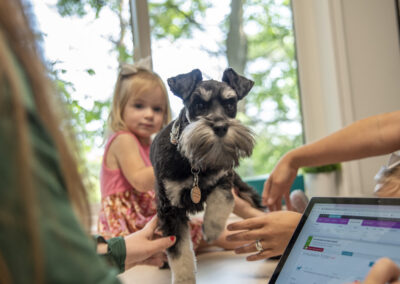 Young girl and small dog on counter with a laptop